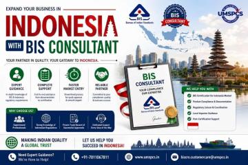 BIS Consultant in Indonesia