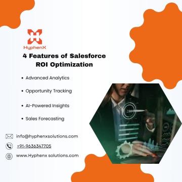 4 Features of Salesforce ROI Optimization