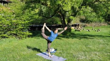 Yoga Teacher Training Course Netherlands | Indian Classical Yoga