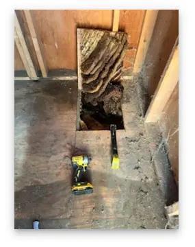Henrys Bees Removal Service