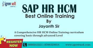 Best SAP HR HCM Online Training in Hyderabad | Igrowsoft