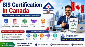 Trusted BIS consultant in Canada