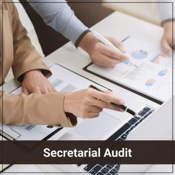 Secretarial Audit Services