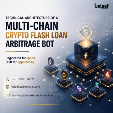 Technical Architecture of a Multi-Chain Crypto Flash Loan Arbitrage Bot