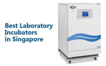 Best Scientific Incubators in Singapore for Research Labs