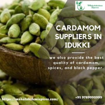 Cardamom Suppliers In Idukki | Cardamom Wholesalers In Idukki