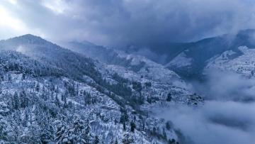 Top India Holiday Packages 2026 | Best Deals on Domestic Tours