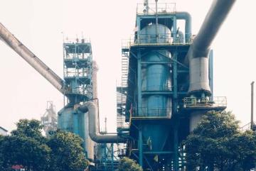 The unique and best quality of Palm is that it produces two types of oil: Palm Oil and Palm Kernel o