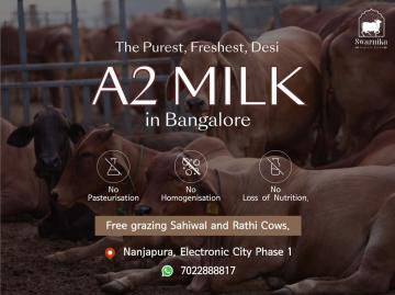 Desi cow milk in Bangalore