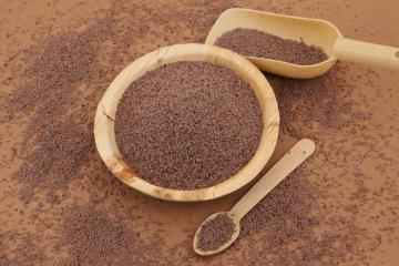 India's Trusted Psyllium Husk Manufacturer & Global Exporter | Gayatri Psyllium Industries