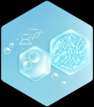 Bacillus Poly Antibiotic manufacturers in India