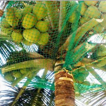Best Coconut Tree Safety Nets Service Provider in Bangalore | Call "Menorah CocoNets" -