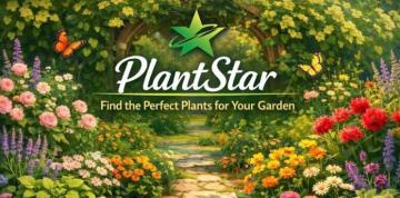 Find the Right Plants Fast with Plant Explorer