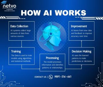 Where Learning Meets Innovation Netvo AI Institute