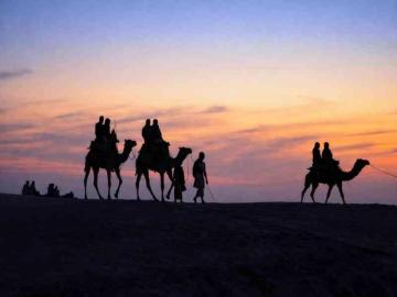 Affordable Rajasthan Tour Packages I Actually Compared