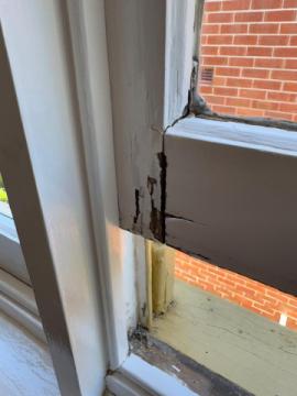 Building Inspection and Pest Inspection in Wellington