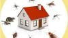 Rat control Service in Gurgaon