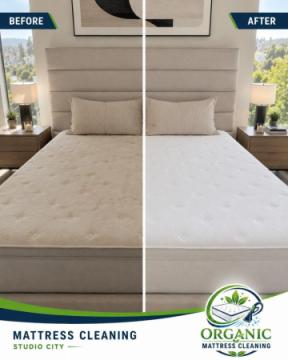 Organic Mattress Cleaning