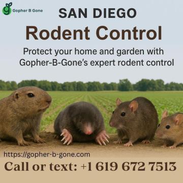 San Diego Gopher & Rodent Control – Safe, Effective, Local