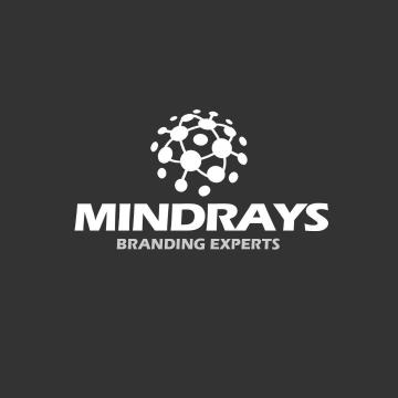 Digital Marketing Solutions in Delhi NCR – MindRays