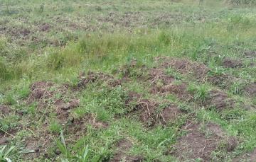 8000 Acres for Sale at Sugurui Segera Mutara neighbouring ADC in Laikipia KENYA