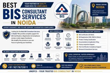 Who Provides the Best BIS Consultant Services in Noida?