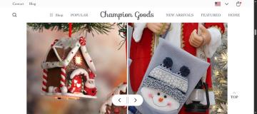 10% OFF Entire Order On Champion Goods