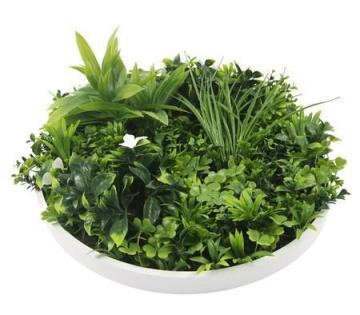 Luxury Artificial Green Wall Plant Wall