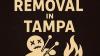 Trusted Voodoo Removal in Tampa
