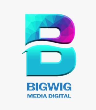 BigWig Media Digital | best digital marketing agencies in Delhi