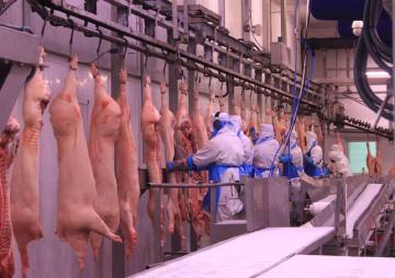 PREMUIM PORK SUPPLIER - FACCSA pork supplier for global markets