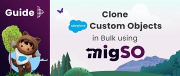 Clone Salesforce Objects- MigSO