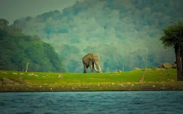 Trusted Travel Agency for Karnataka Tour Packages