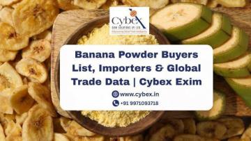 Banana Powder Buyers List, Importers & Global Trade Data | Cybex Exim