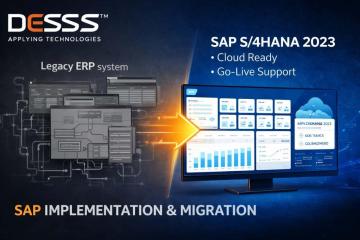 Reliable SAP Consulting Services in Houston for Business Optimization