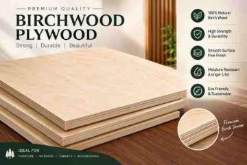 Birchwood Plywood for Sale — Premium Quality at Best Price
