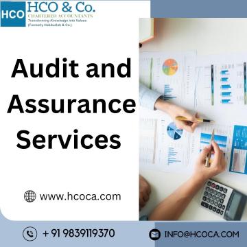 Audit and Assurance Services for Long-Term Business Stability