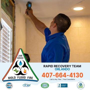 Professional Mold Care for a Healthier Orlando Home