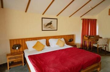 Book /Monsoon /Forest /Bandhavgarh | Best Hotel in Bandhavgarh - Asia - Hotels & Resorts.