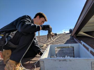 Brampton Wildlife Control