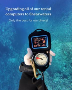 Scuba Diving Trips | Liquid Cosmos Divers