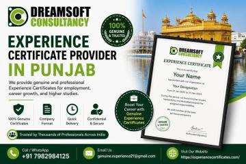 Trusted Experience Certificate Provider in Punjab for Job Applications