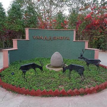 Luxury Resorts In Sariska For A Comfortable Nature Escape